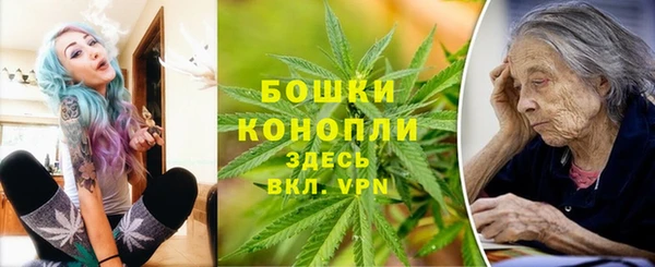 индика Гусев